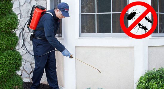 Halkapınar Gümüşkurt İlaçlama böcek ilaçlama ve haşere kontrolü — ilaclama-tr.com